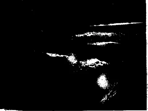 Fig. 9—An in-stream Irish screen.