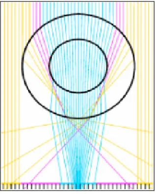 Figure 2.5: Capillary Optics 