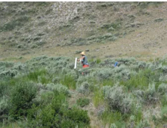 Figure 3: Using the handheld gradiometer in the field introduces a wide range of nonlinearity