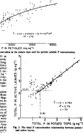 Fig. 1. The relationship between the total P concentration in the potato tops and the petiole soluble P concentration