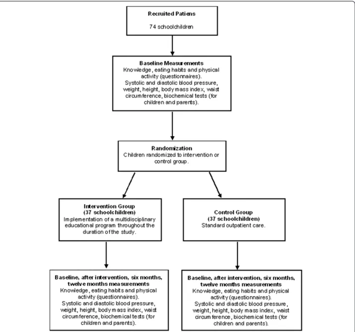 Figure 1 Flow chart: study design.
