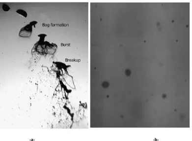 Figure   4.9:   (a)   Microscopic   shadowgraph   of   one   diesel   droplet   breakup   (We=68)   [Parks,   et   al.(2006)]