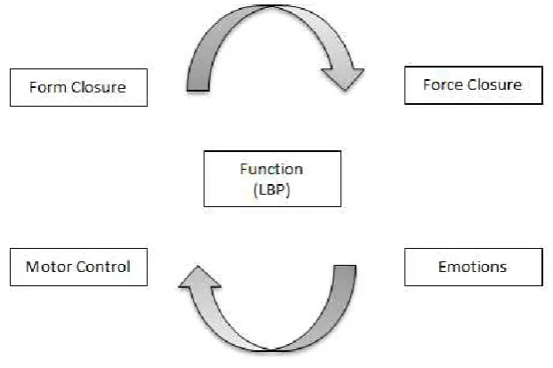 Figure 1. Integrated multifactorial framework of function (Lee & Vleeming, 1998) 