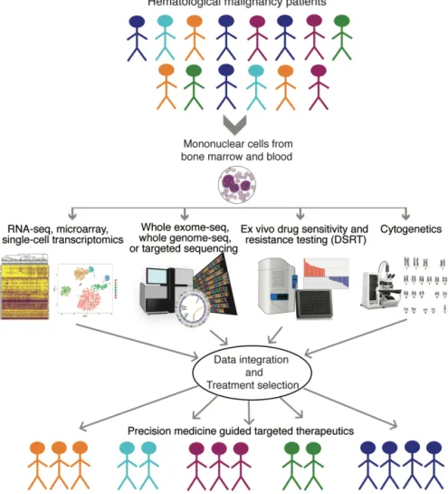 Figure 1. An example of precision medicine workflow in patients with  hematological malignancies: Technologies implemented for patient stratification  and therapy recommendation