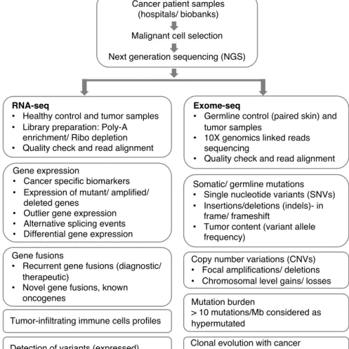 Figure 2. Bioinformatic workflow. Integrative clinical next-generation  sequencing and its applications for precision oncology