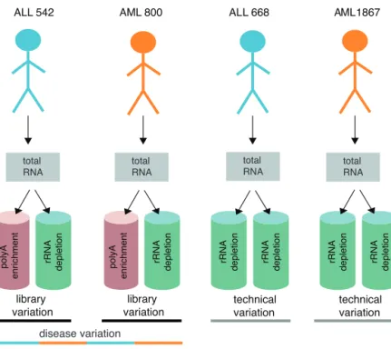 Figure 5. A systematic overview of the experimental design. Total RNA was  isolated from mononuclear cells and used for RNA-seq library preparation