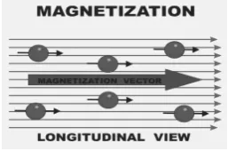 Figure 9: The ﬁgure above shows the direction of the magnetization vector, parallel to the mainmagnetic ﬁeld lines from the B0 ﬁeld