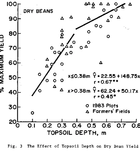Fig, 3 The Effect of Topsoil Depth on Dry Bean Yield