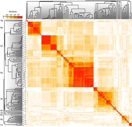 Fig. 1 Hierarchical cluster analysis showing similarities in the number of identical masses calculated is illustrated in the heatmap