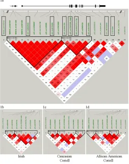 Figure 1.LD maps of the 