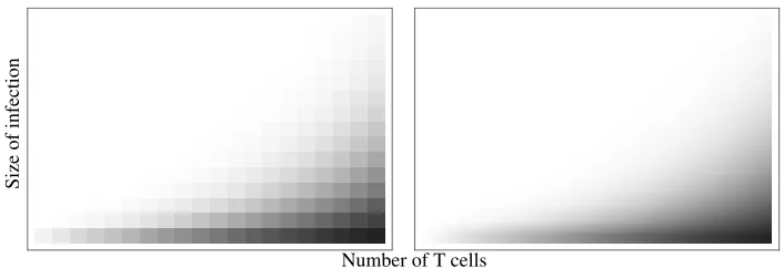 Figure 7: Comparison of fully stochastic (left) and hybrid stochastic-deterministic (right) calculation of P ≤1(N) x ; θ/ =ρ.0 05; α =.0 01; ≤X20; 1 ≤ ≤N15 (white: probability 0; black: probability 1; grey: probability in interval (, 0) 1 ).