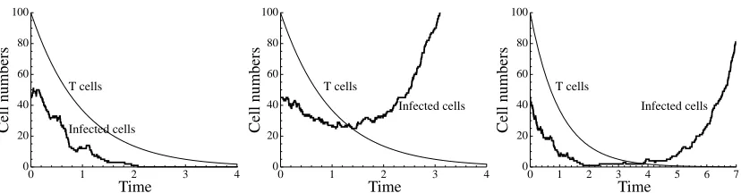 Figure 2: Simulated time courses of the hybrid stochastic-deterministic system derived from eqns (17) and (18), with Kinfected cells (The thin line depicts the deterministic dynamics of the T cells ( =5 and µ =1.x) and the thick line depicts the stochastic dynamics of the number ofN).