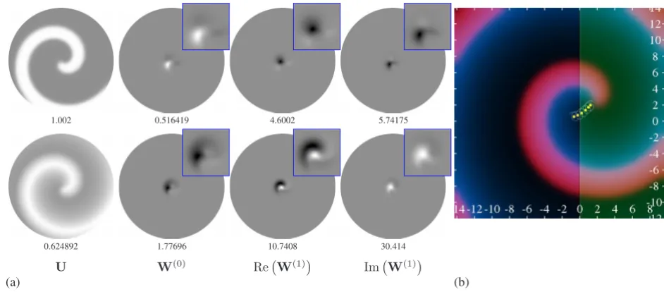 FIG. 1. �to the value�white line is the trace of the tip of the spiral in the course of a few preceding rotations