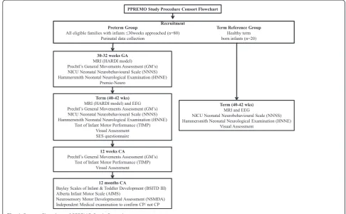 Fig. 1 Consort Flowchart of PPREMO Study Procedure