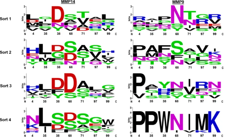 Figure 2: Logo summaries of the selective libraries sequenced after each selective round of sorting