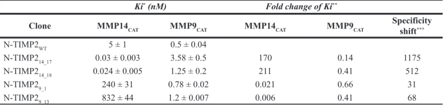 Table 2: Inhibition constants (Ki) of MMP14 and MMP9 with N-TIMP2 selective variants