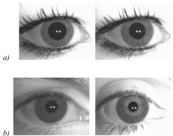 Fig I shows an example of a trial pair from a Matching and Non-matching trial.
