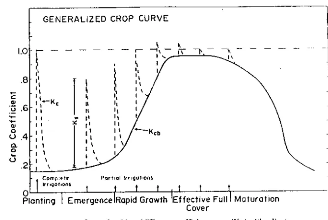 FIG. 6.3 Generalized basal ET crop coefficient curve (I).'„) with adjust-ment for increased evaporation due to surface soil wetness tiC,t to deter-