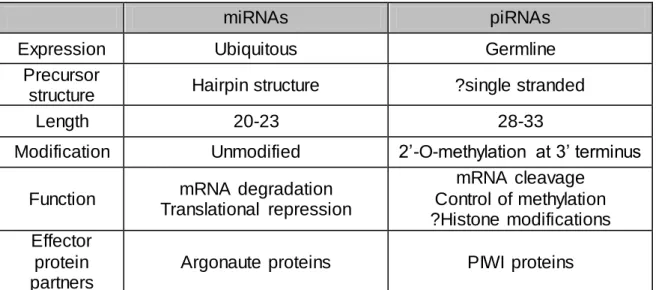 Table 1-1.  Characteristics  of miRNA  and piRNA  (adapted  from  (Farazi,  Juranek  et al