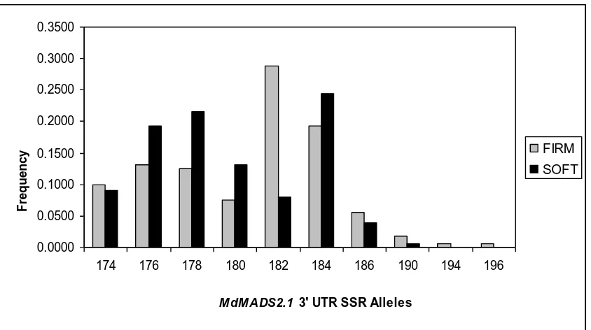 Fig. 3  Allele frequency distributions for (TA)n repeat polymorphism in the 3’UTR of 