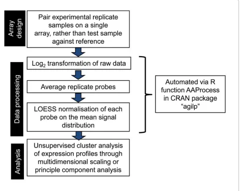 Figure 10 Pipeline for data collection, processing and analysis as implemented in this study.