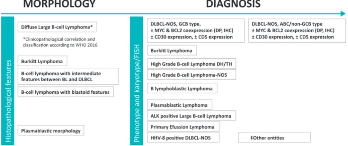 Figure 1: Histopathological diagnosis of DLBCL.  Tissue biopsy. (‡) Other entities: [T cell/histiocyte-rich large B-cell lymphoma,  primary CNS large B-cell lymphoma, primary “leg type” large B-cell lymphoma, EBV-positive large B-cell lymphoma-NOS, DLBCL  