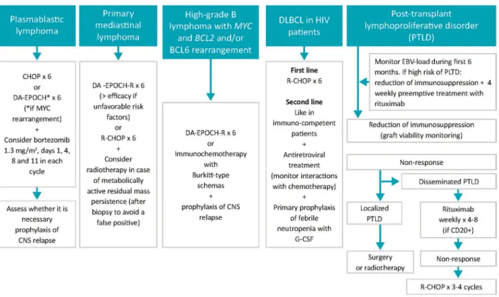 Figure 4: Treatment for special DLBCL subtypes.   CNS: central nervous system; DA-EPOCH-R: dose-adjusted, etoposide,  prednisone, vincristine, cyclophosphamide, daunorubicin (doxorubicin), rituximab; EBV: Epstein-Barr virus; G-CSF: granulocyte  colony stim