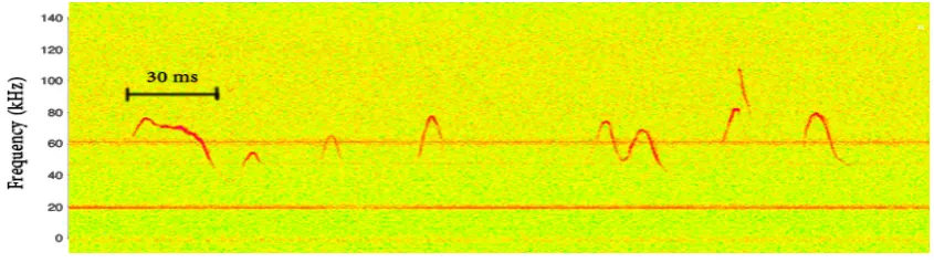 Figure 1. Spectrogram of an ultrasonic vocalization sequence consisting of several syllables.