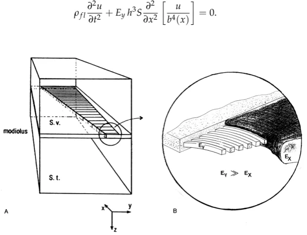 Figure 1. Box model of the human cochlea (embedded into softer elastic tissueA). The upper front area (representing the oval windowattaching the Scala vestibuli (S.v.)) is excited by a sinusoidal velocity with the frequency 2 kHz andamplitude 1 nm/s
