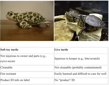Figure 2. Consumer advicedsoft, inanimate toy turtle versus live active turtle.