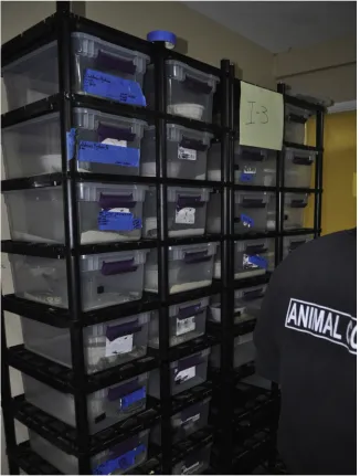 Figure 5. Example of a racking system in which many snakes are commonly conﬁned. (Photo credit: PETA).