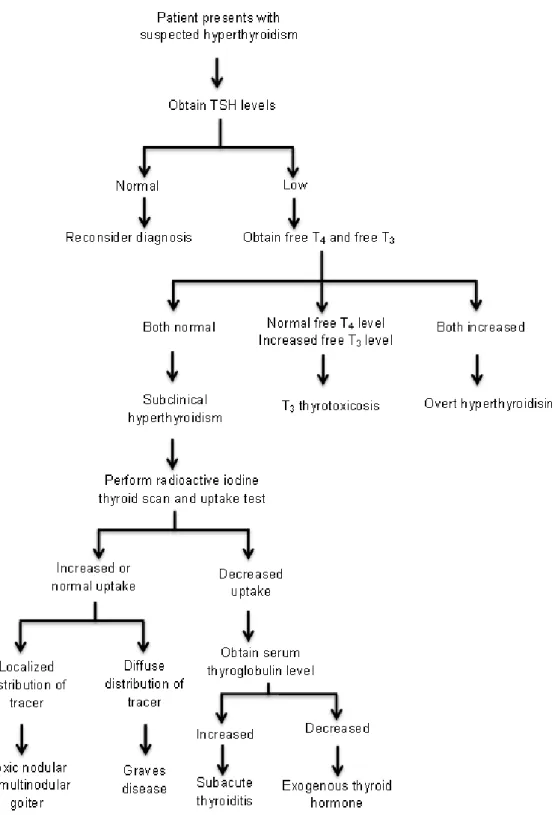 Figure 1. Algorithm for Evaluation of Suspected Subclinical Hyperthyroidism 3