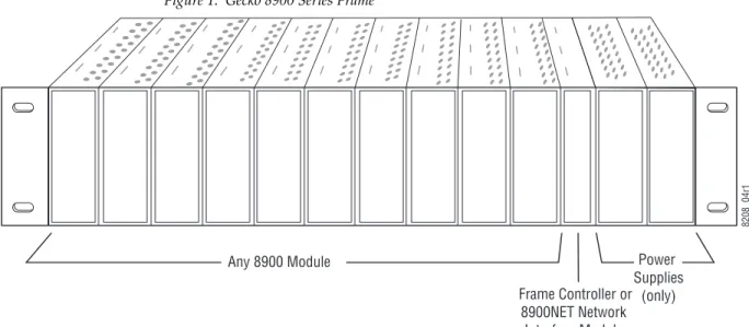Figure 1.  Gecko 8900 Series Frame
