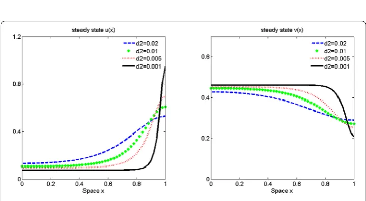 Figure 2 Formation of stable single boundary spike of u and boundary layer of v to (4.1) over� = (0,1)