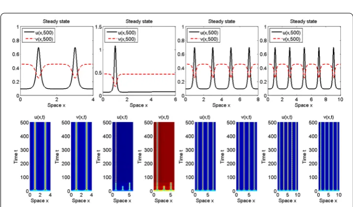 Figure 4 Formation of stable interior spike of uinitial data are as in Figure 2 except that the interval length is and interior layer of v