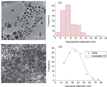 Fig. 2(a) TEM image of the Ag nanoparticles used to seed the growth of Geshowing a mean diameter of 32.3nanowires(scalebar¼50nm),(b)nanoparticlediameterdistribution(170 nanoparticles) of the same Ag nanoparticles showing a mean diameter of9.3 � 2.5 nm, (c) SEM image of Ge nanowires grown from the Ag nanoparticlesshown in (a) (scale bar ¼ 5 mm) and (d) diameter distribution of the Ge nanowires � 15.3 nm (FWHM ¼ 36.1 nm).