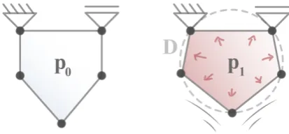 Figure 1. Schematic cell structure of the Venus ﬂytrap. Leaf movement actuated by a change in turgorpressure