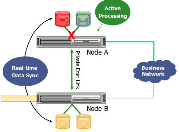 Figure 5 – The Stratus Avance Architecture 