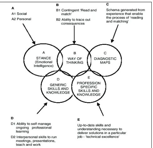 Figure 1. Professional capability framework (Scott & Wilson, 2002)