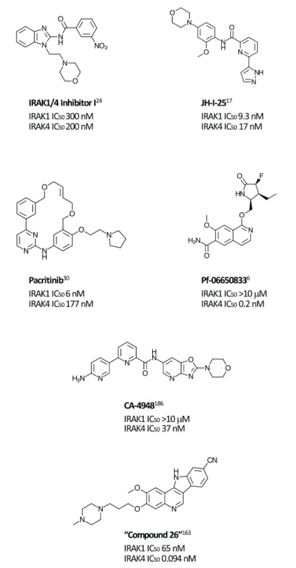 Figure 1: Selected IRAK1 and IRAK4 inhibitors.  Small molecule inhibitors of IRAK1 and IRAK4 reported in the literature.