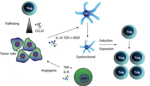 Figure 4  Immune-suppressive pathways in  ovarian cancer. Tregs are attracted to the tumor  environment by CCL22, secreted by the tumor