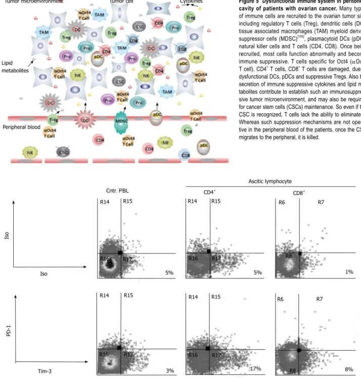 Figure 6  PD-1 and Tim-3 expression by ascitic lymphocytes from patients with ovarian cancer