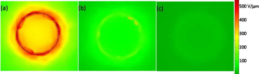 FIG. 5. Spatial distribution of electric ﬁelds at the surface of nanotubes placed in an external ﬁeld of 2 V/lm, obtained using ﬁnite element method