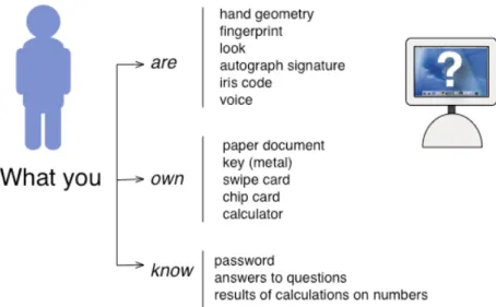 Figure 3 - Authentication by an IT System (FIDIS, 2006) 