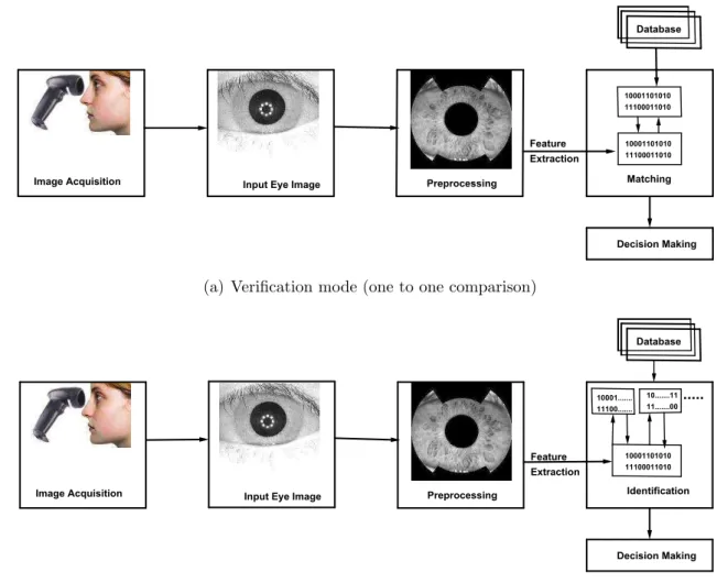 Figure 1.3: Different modes of biometric recognition