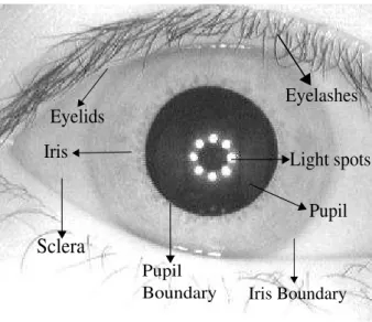 Figure 1.4: A sample image from CASIA database [1] that depicts the anatomy of human eye [2].