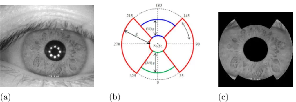 Figure 1.5: Preprocessing of iris image: (a) Input iris image, (b) Geometrical rep- rep-resentation of sectors on iris circles, (c) Noise independent annular iris image after preprocessing [3].