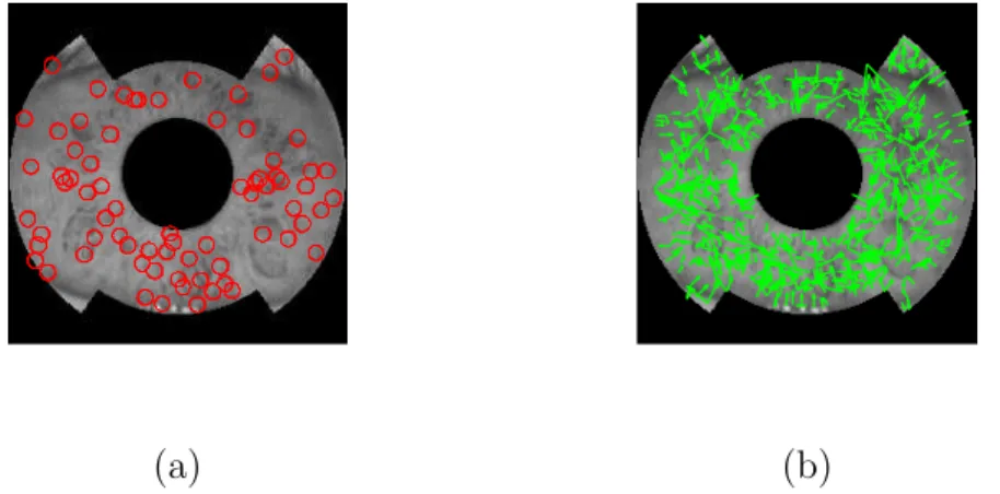 Figure 2.3: Keypoint detection on an annular iris image using SIFT (a) Detected key- key-points after removing noise and edge responses, (b) Scale and direction of orientation (indicated by arrows).