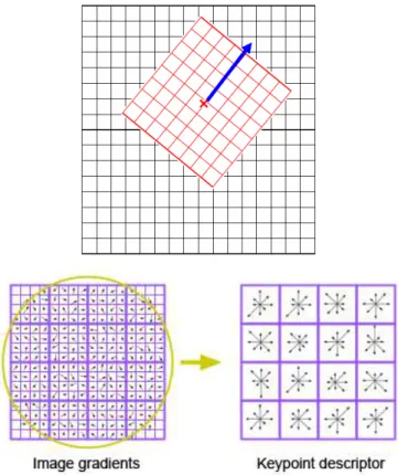 Figure 2.4: Window is taken relative to direction of dominant orientation. This window is weighted by a Gaussian and histogram is obtained for 4 × 4 regions [2].