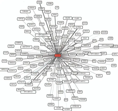 Figure 1. Gene network plot for 